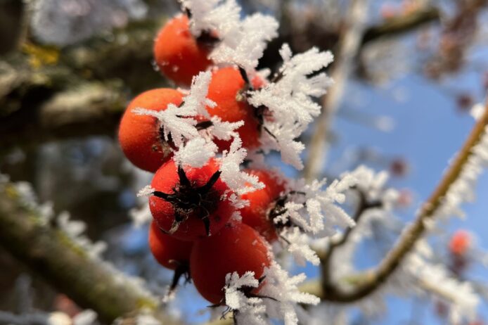 Weih­nachts­pau­se vom 23.12.25–13.01.26